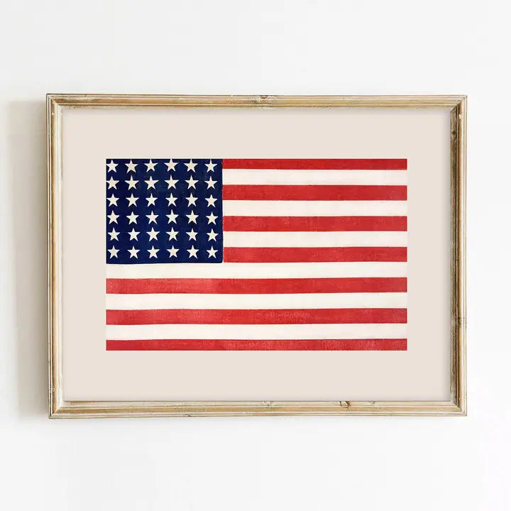 American Flag On Beige Art Print