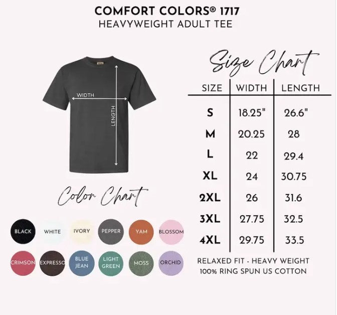 Comfort Colors Retro USA 250 Map Shirt, Independence Day Tee